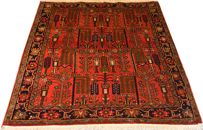 Koliyaee - Best Rugs Gallery-Vancouver