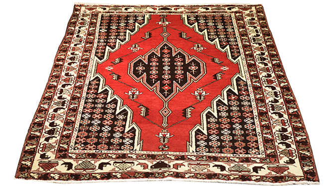 shavah rug
